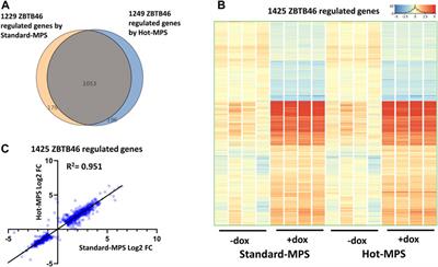 Comparative transcriptomic analysis of Illumina and MGI next-generation sequencing platforms using RUNX3- and ZBTB46-instructed embryonic stem cells